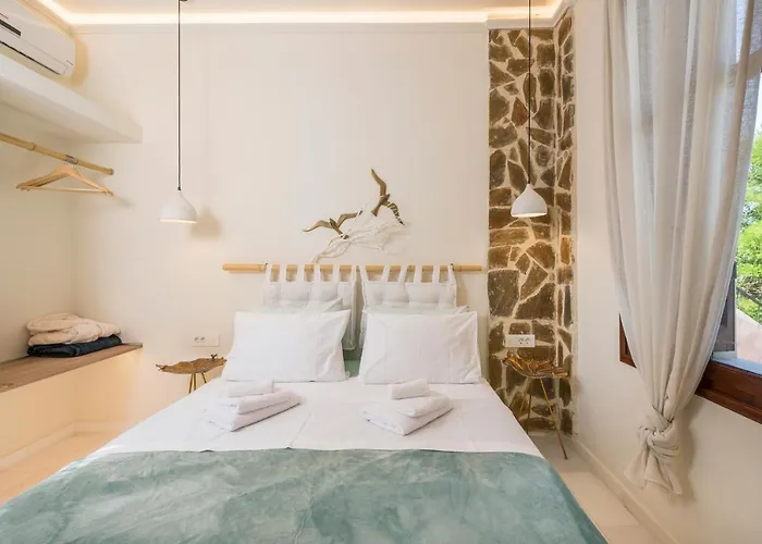 Willa Belle Epoque Halepa's House