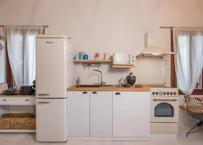 빌라 Belle Epoque Halepa's House